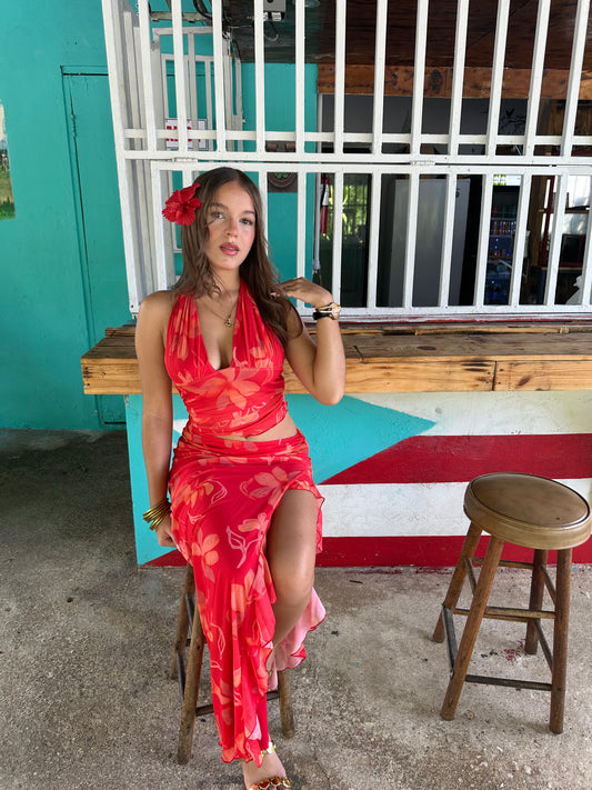 DRESS amapola 🌺✨